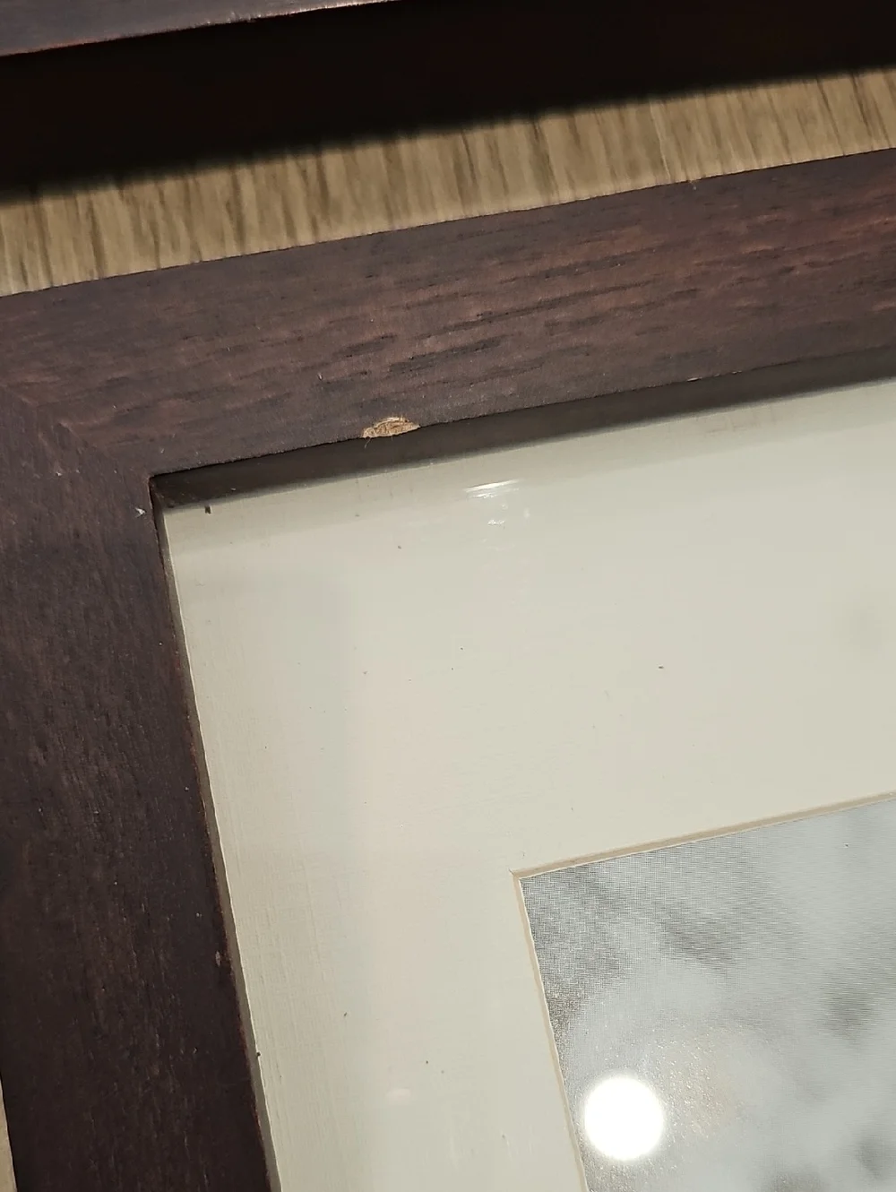 Family Tree Frames Set